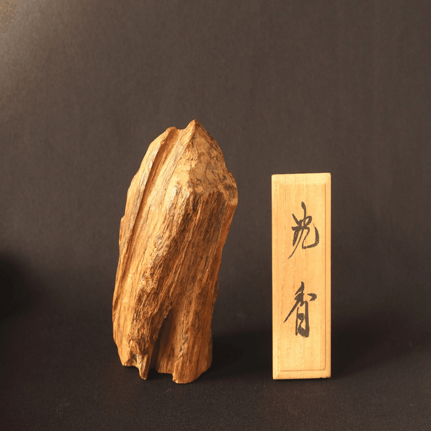 ベトナムの森から伽羅へ──人類の身体に刻まれた沈香の記憶｜宮内政延