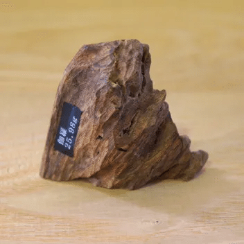 ベトナムの森から伽羅へ──人類の身体に刻まれた沈香の記憶｜宮内政延