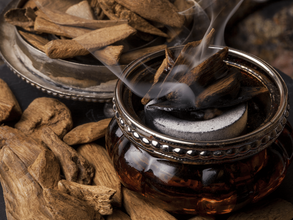 ベトナムの森から伽羅へ──人類の身体に刻まれた沈香の記憶｜宮内政延