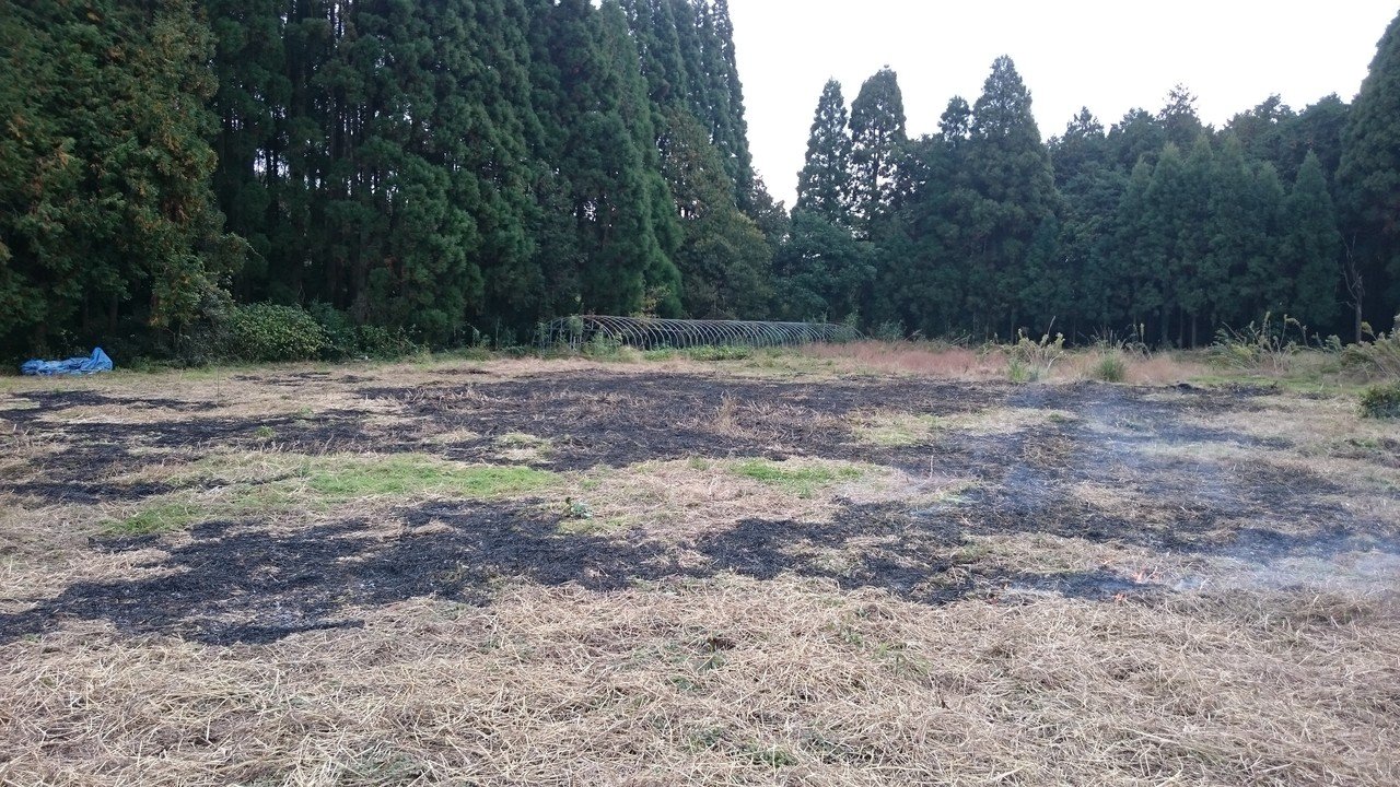 肥料も農薬も使わずに ハーブをどうやって育てる Mariko Shimodozono Note 肥料も農薬も使わずに ハーブをどうやって育てる Mariko Shimodozono Note