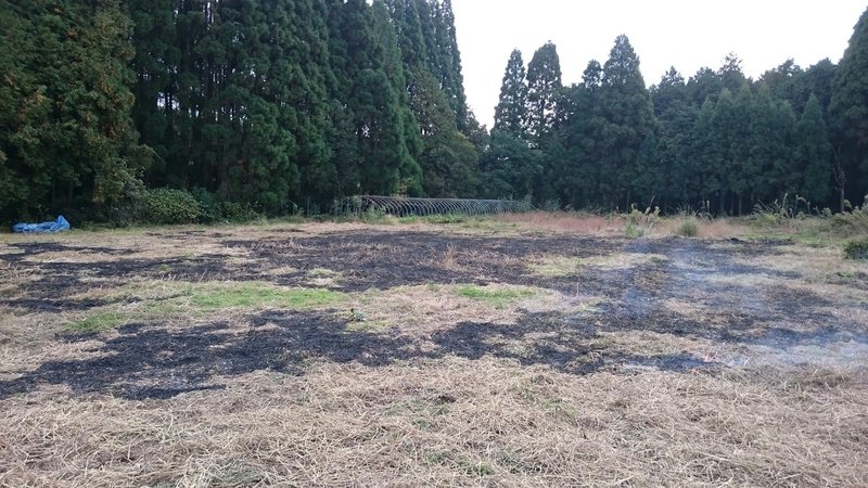 肥料も農薬も使わずに ハーブをどうやって育てる Mariko Shimodozono Note