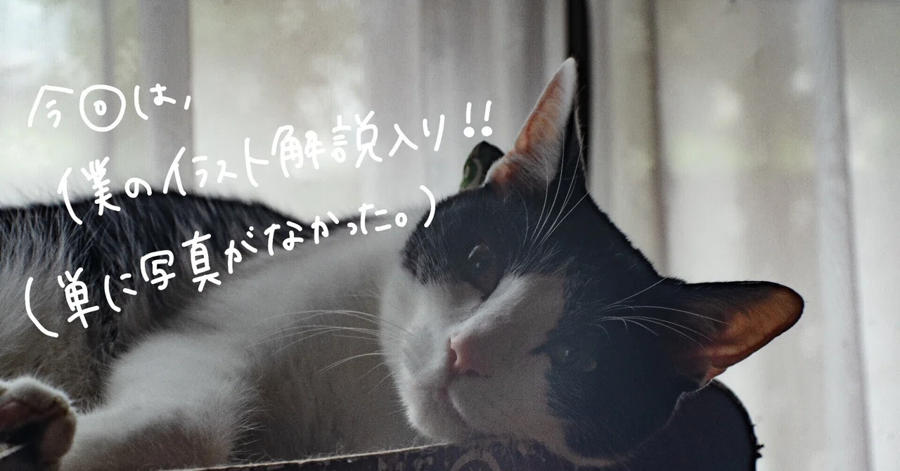 見出し画像