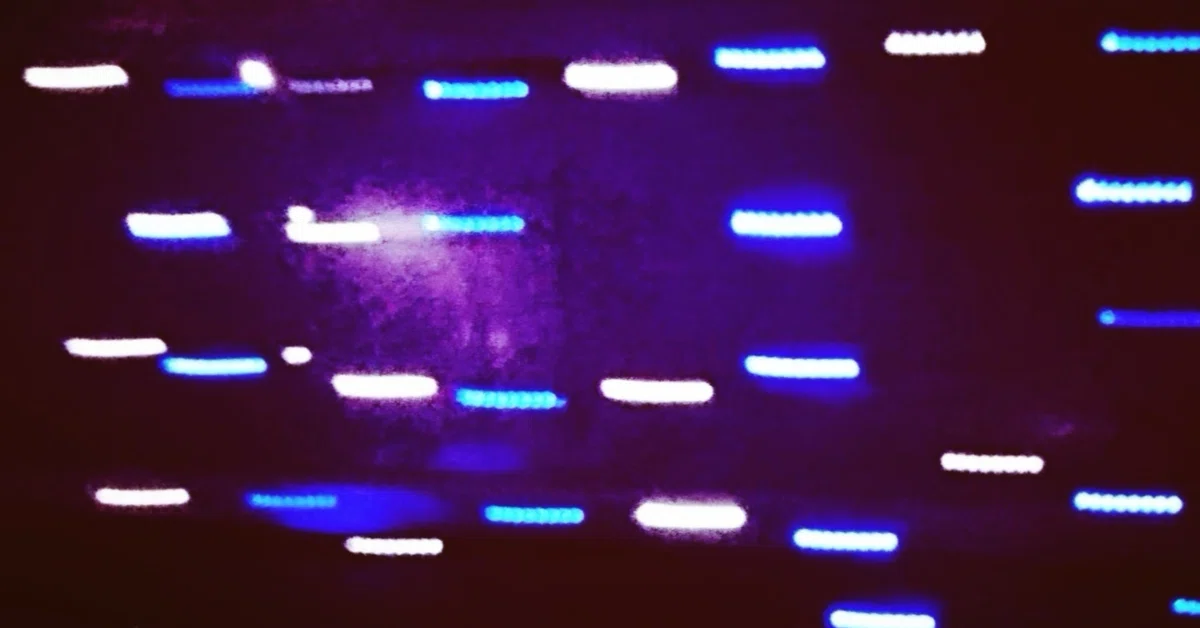 [Audio Source Introduction] Enjoying Techno Music with Pure Celebrity ...