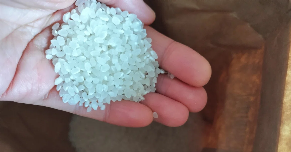 Respect for Rice Farmers｜ocoto