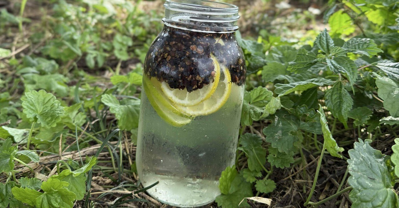 ジュニパーベリー農家｜Bar BenFiddich 鹿山博康｜note