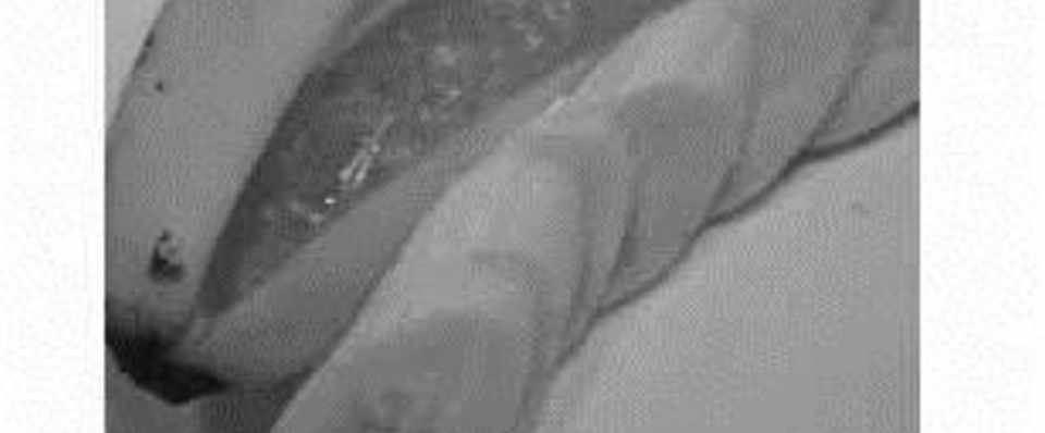 理系大学院生と合コン の巻 だい Note