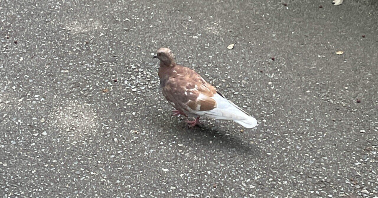 e♡♡♡ カモ トラ シロクマ 外道の歌」カモとトラに粛清された外道たちの過去に迫る