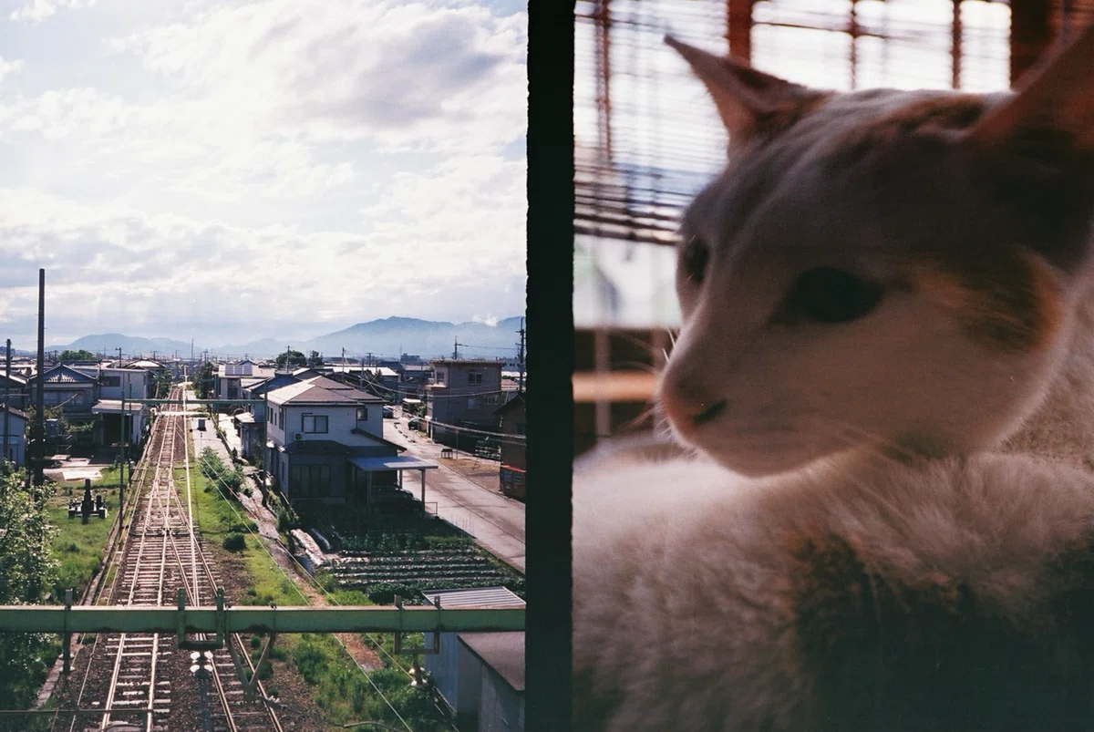画像