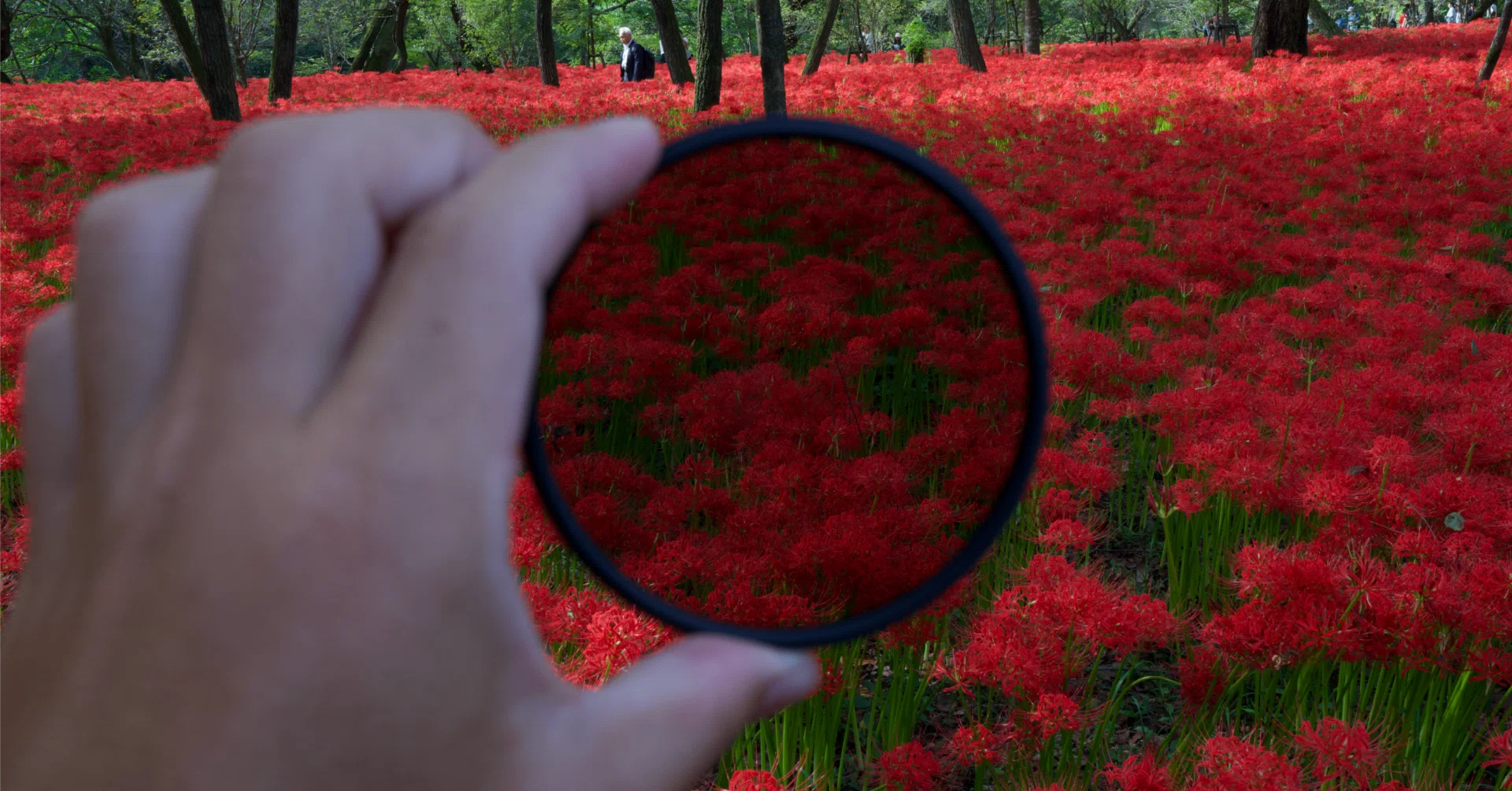 風景写真 風景写真を鮮やかにするCPLフィルターと私のおすすめNiSi & Kenko