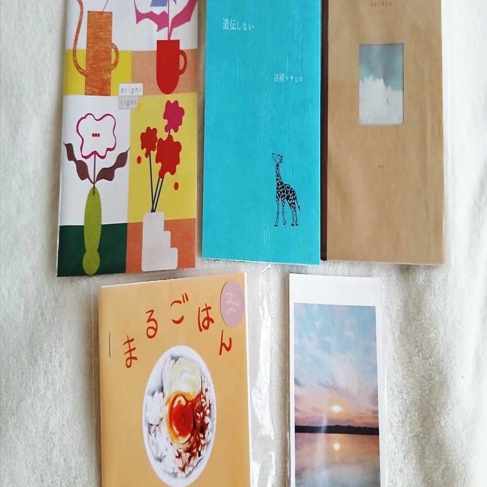 ZINEフェス東京]購入品と感想｜百崎万理/東京個展