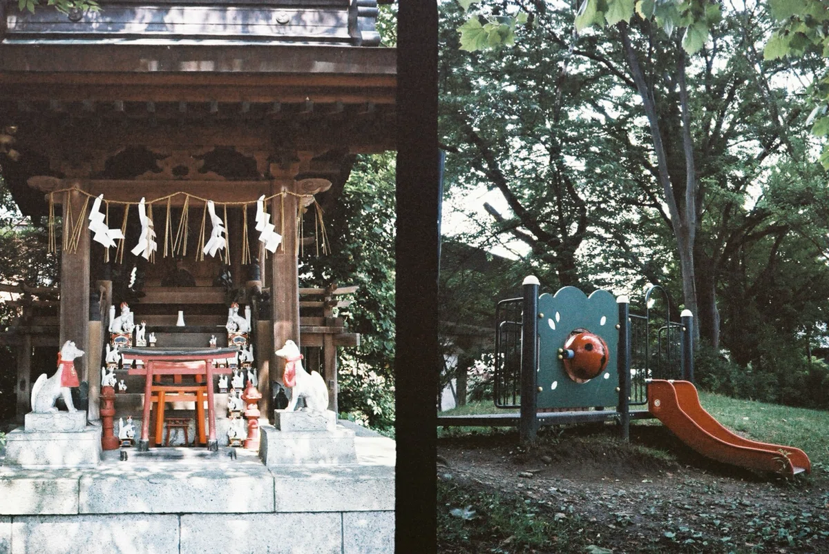 画像