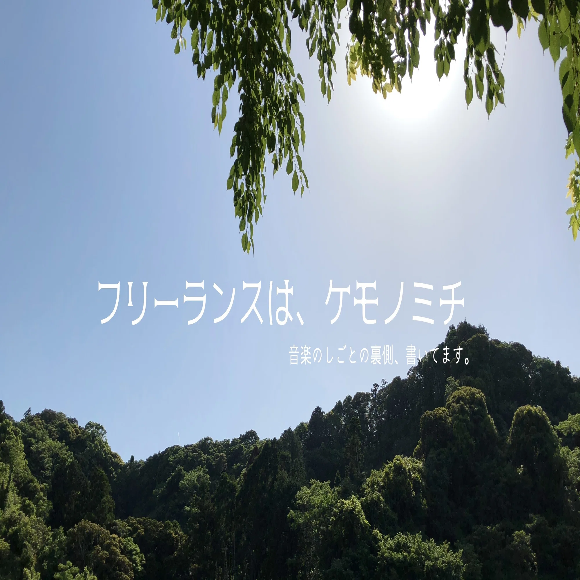 身 の 振り 方