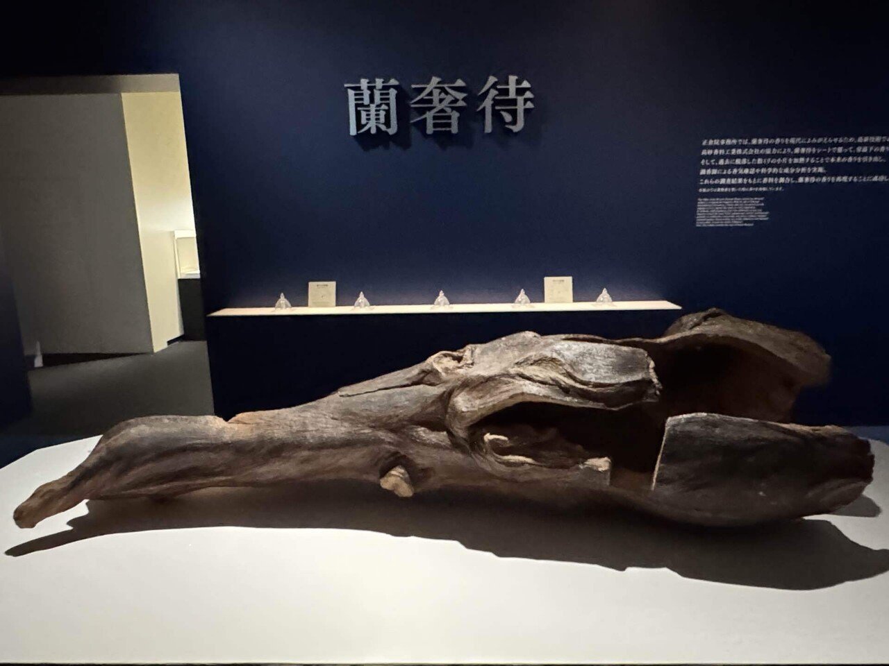 正倉院の御物を手軽に見れる？「正倉院THE SHOW」展 ｜champsdepin