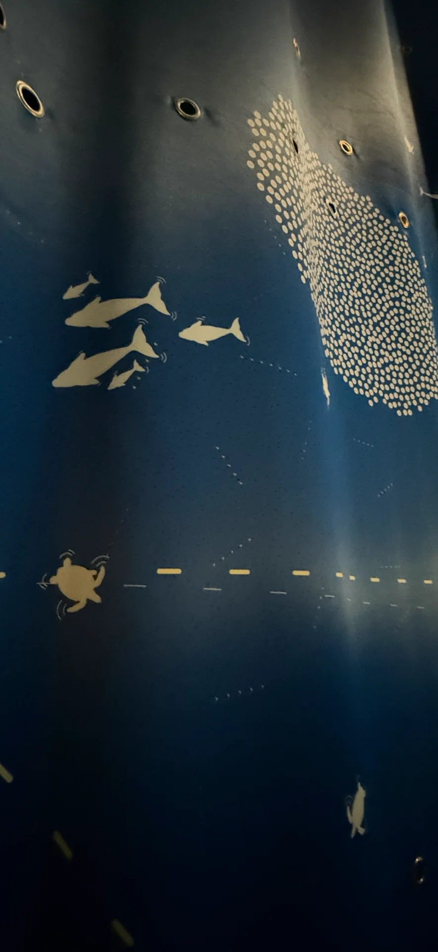 EXPO 2025 『カタール』 ダウ船を模った美しいパビリオン｜EGGSEED