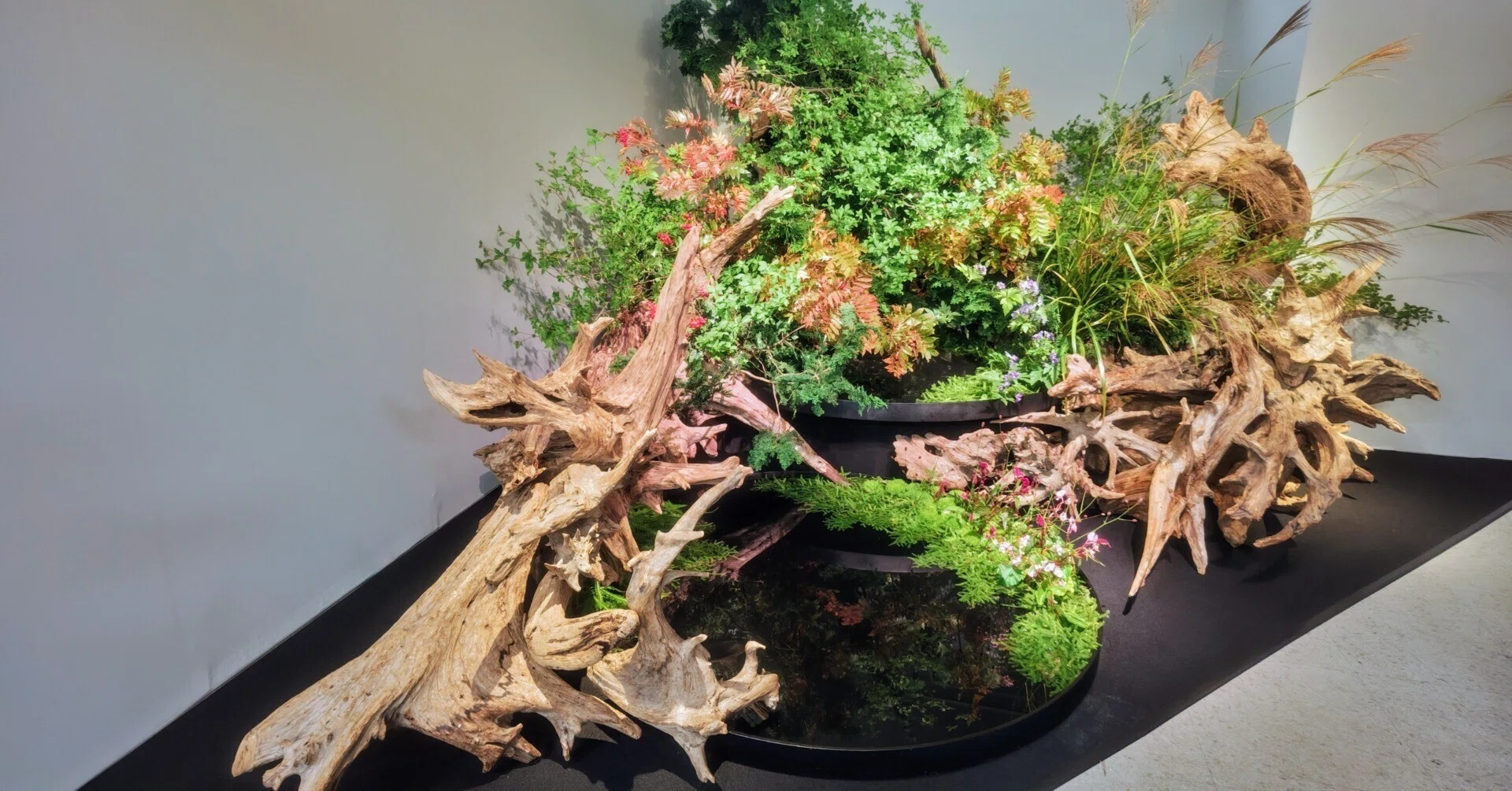 肩の力を抜いて、自由に見て、秋の気配を感じたい。いけばな小原流展