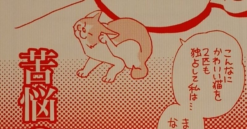 『苦悩の猫遊び』通販のお知らせ
