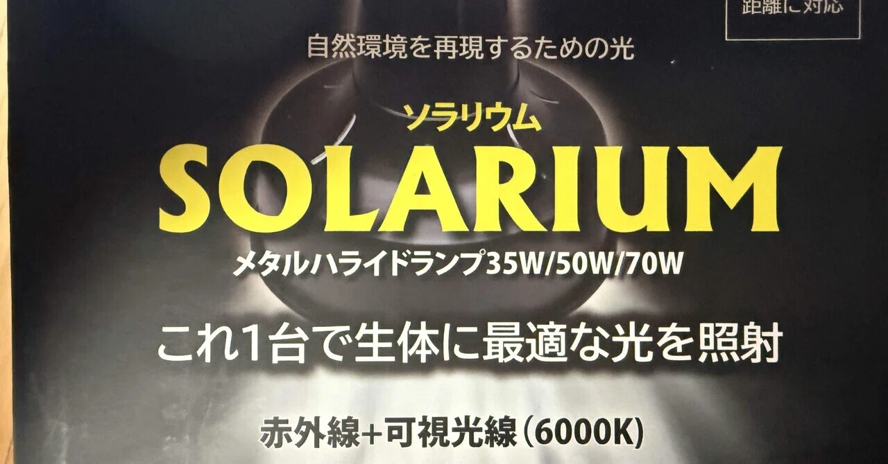 メタルハライドランプの経済性｜浦公英