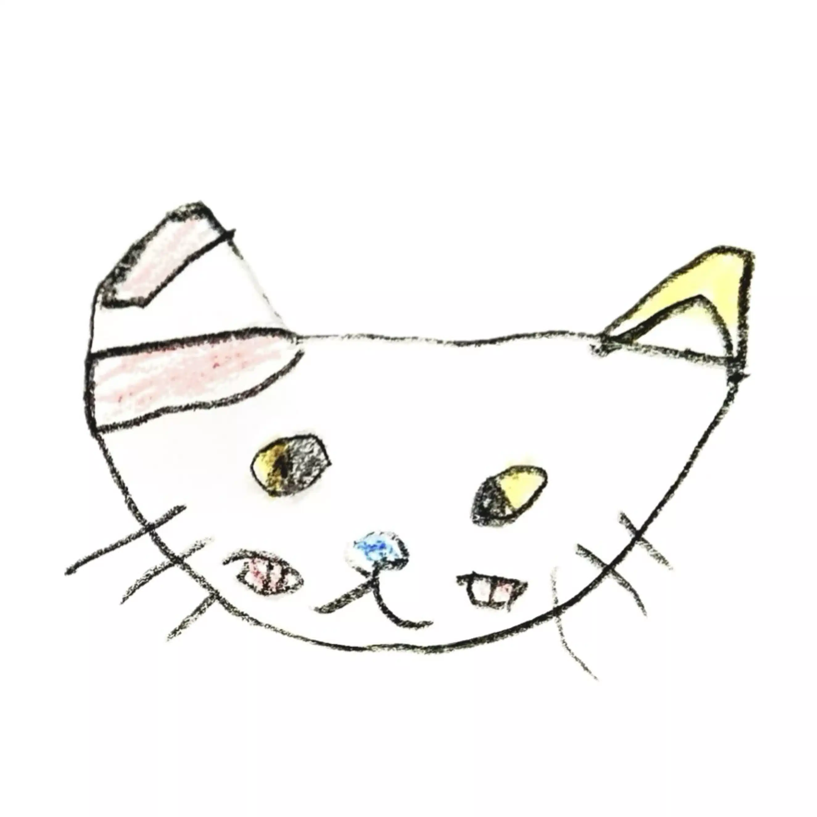 mimamorineko