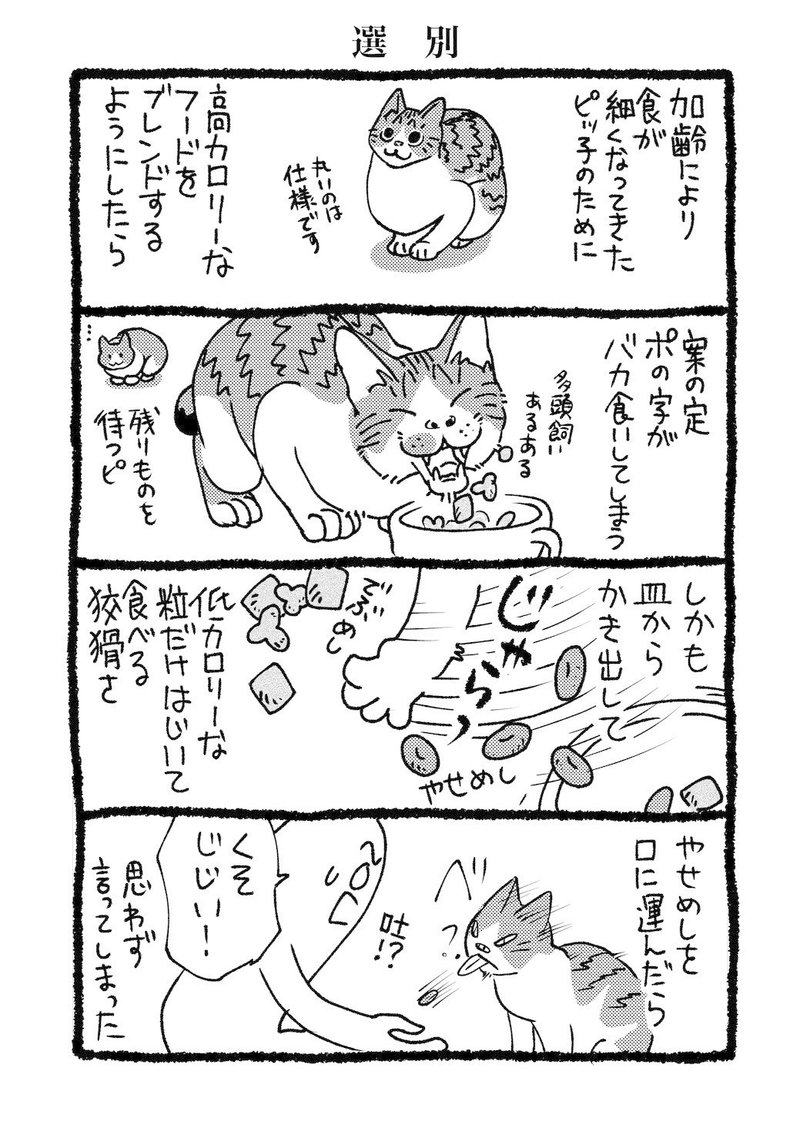 猫4コマ02_191230_009