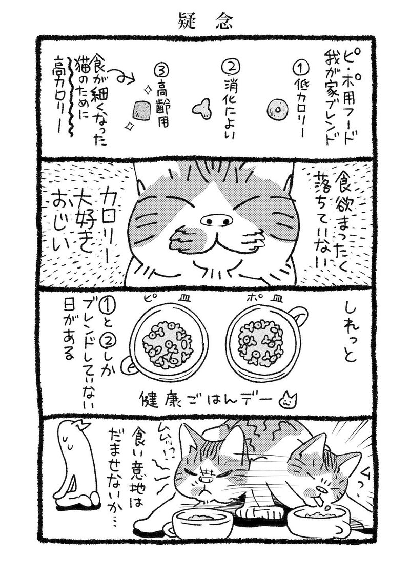 猫4コマ02_191230_010