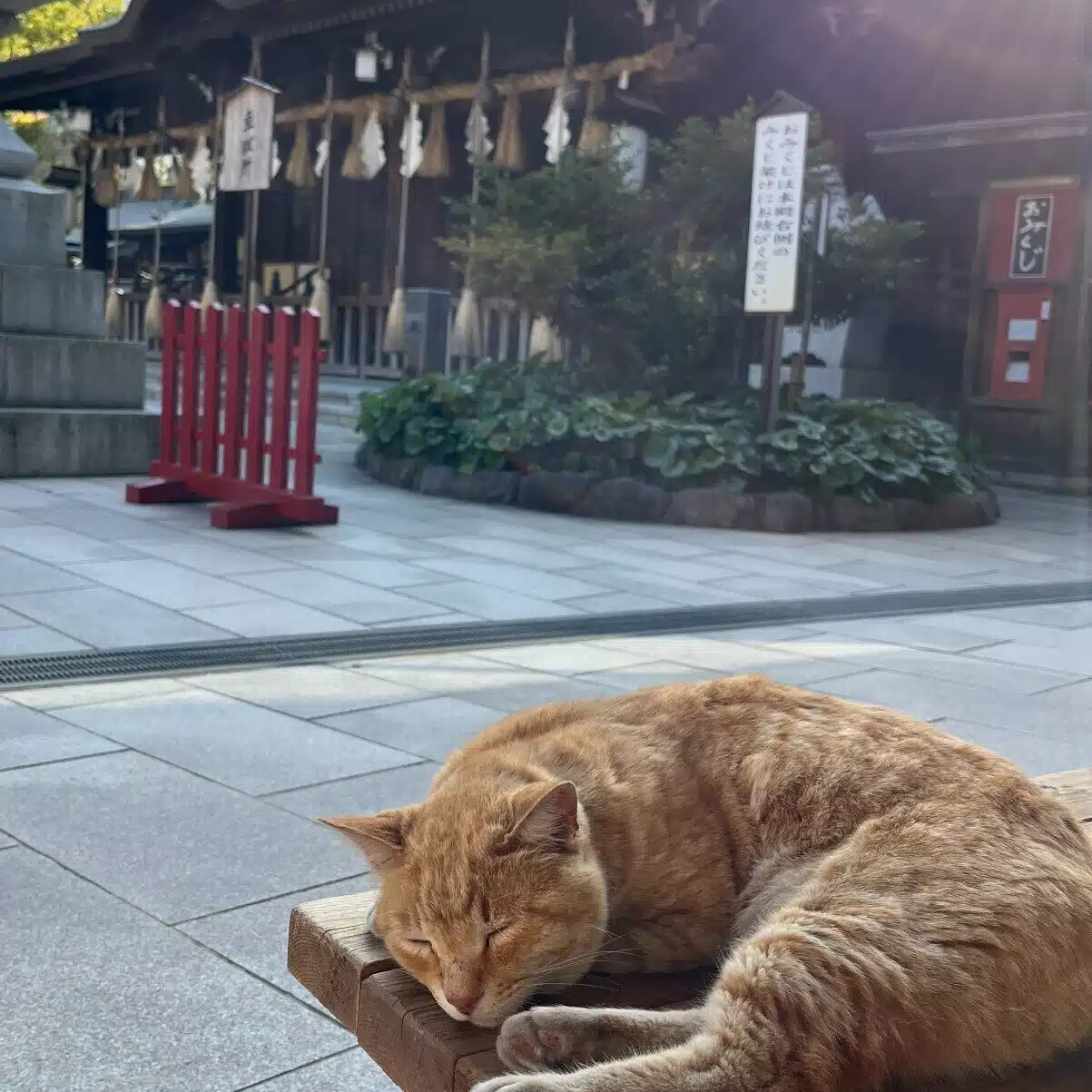 田中さん