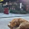 田中さん