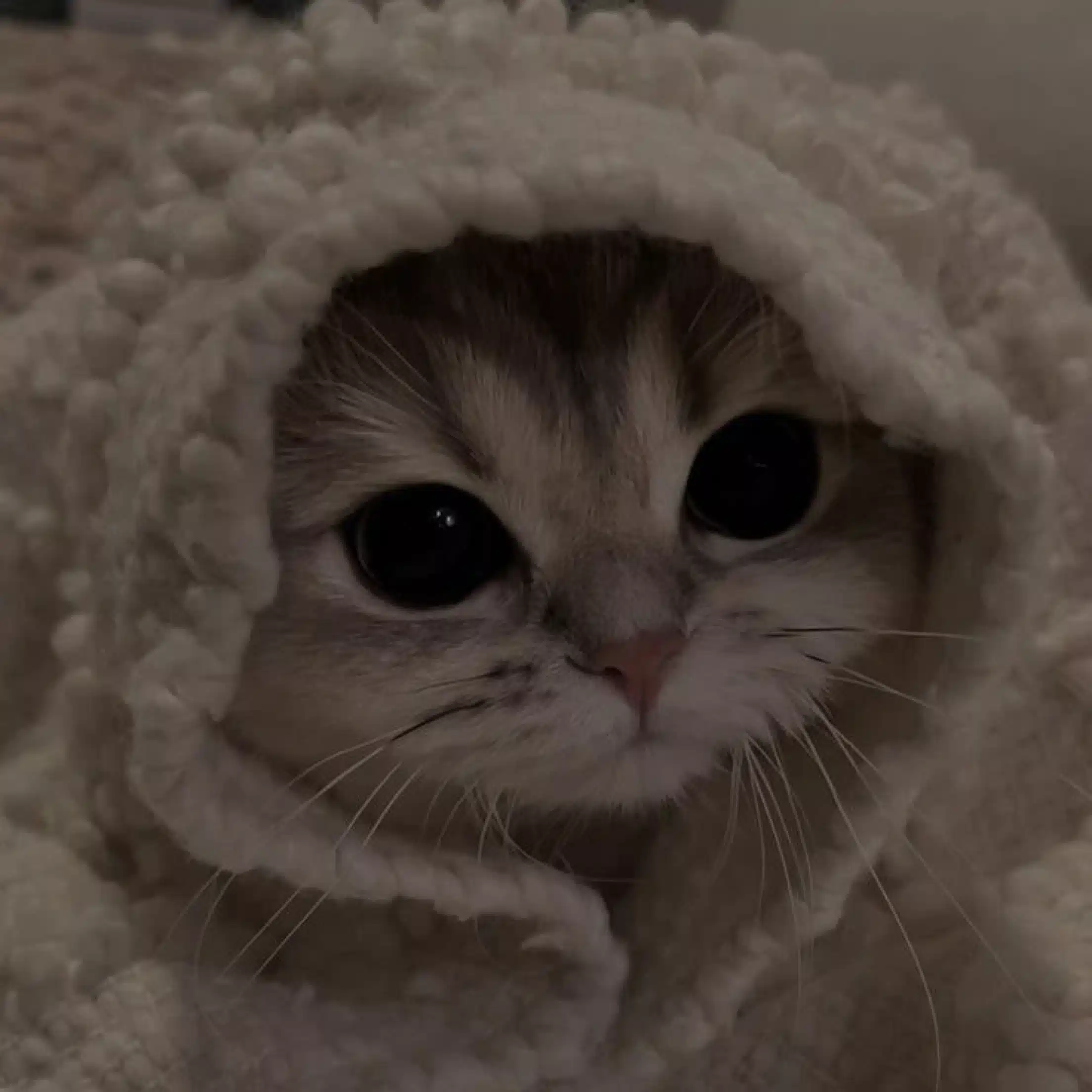 美羽