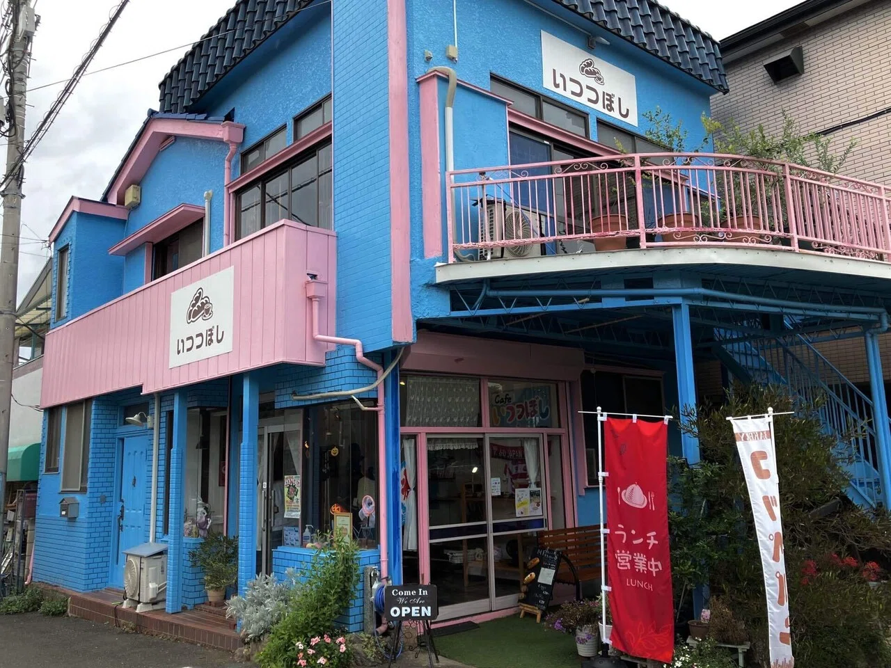 コスモス街道と偶然出会った癒しカフェ 【埼玉県富士見市】｜Xīng