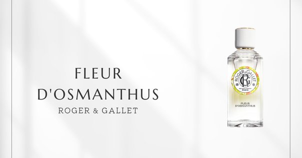 Kerzon | Place Des Vosges / Ile Saint-Louis｜kaz-san