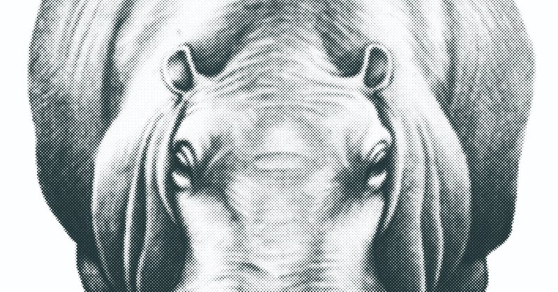 河馬のリアルイラストtシャツを作りました リアル絵tシャツ屋さん Note