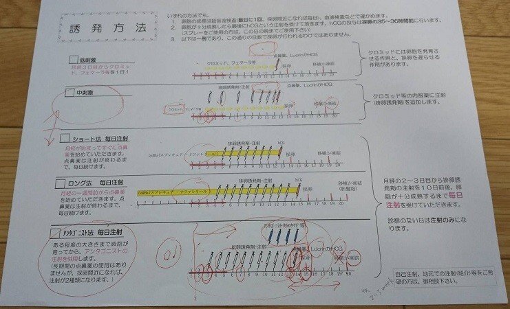 世界でたった1人のアナタに出逢えるまでの軌跡 神戸artレディースクリニック にて不妊治療 体外受精 不育症治療 を経て妊娠するまでに得た全知識と体験談 ゆらみ Note 世界でたった1人のアナタに出逢えるまでの軌跡 神戸artレディースクリニック にて不妊治療 体外受精 不育症治療 を経て妊娠するまでに得た全知識と体験談 ゆらみ Note