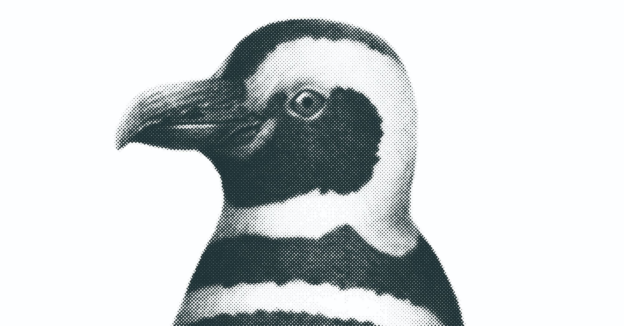 マゼランペンギンのリアルイラストtシャツを作りました まざらんペンギン Note マゼランペンギンのリアルイラストtシャツを作りました まざらんペンギン Note