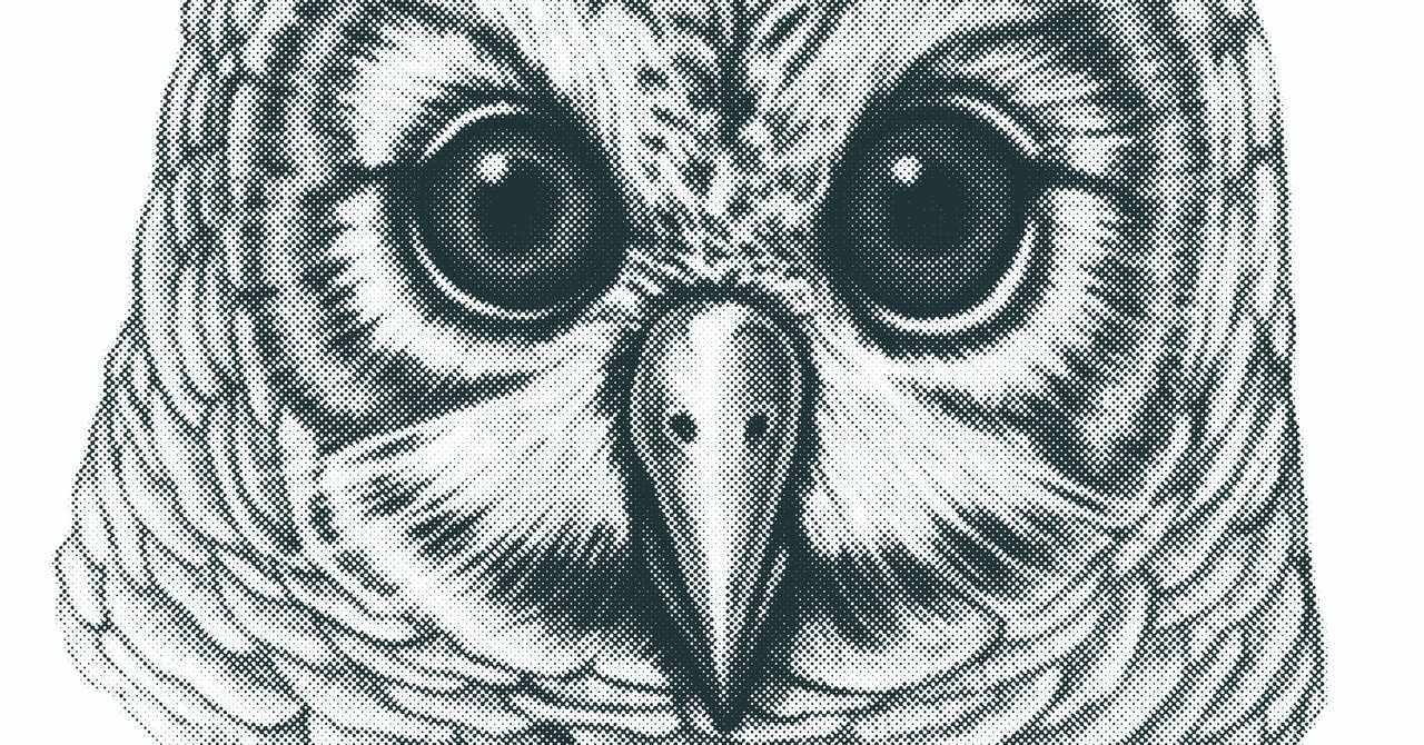 フクロウのリアルイラストtシャツを作りました リアル絵tシャツ屋