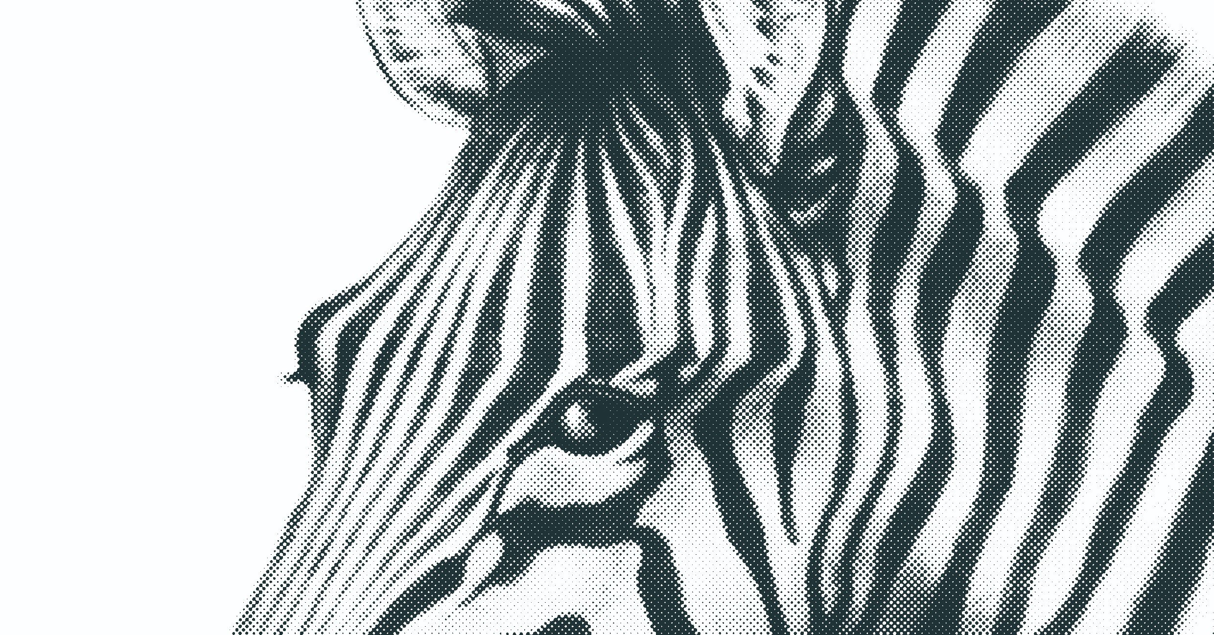 シマウマのリアルイラストtシャツを作りました リアル絵tシャツ屋さん Note