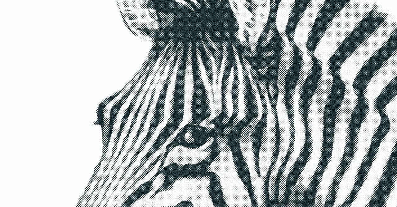 シマウマのリアルイラストtシャツを作りました リアル絵tシャツ屋さん Note