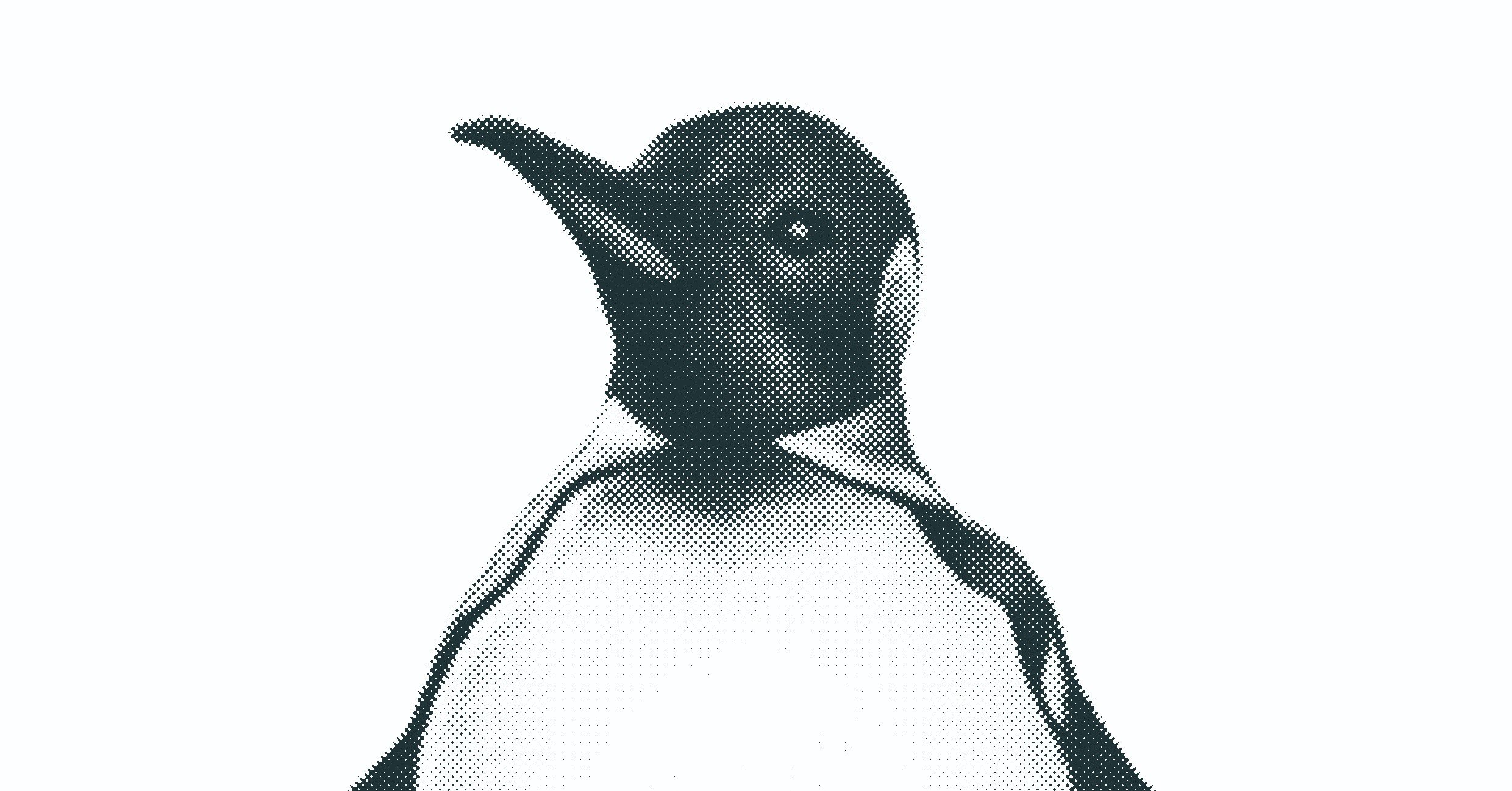 キングペンギンのリアルイラストtシャツを作りました リアル絵tシャツ屋さん Note