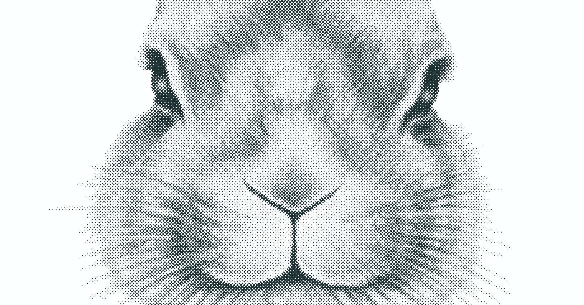 ウサギの正面顔のリアルイラストtシャツを作りました リアル絵tシャツ屋さん Note ウサギの正面顔のリアルイラストtシャツを作りました リアル絵tシャツ屋さん Note
