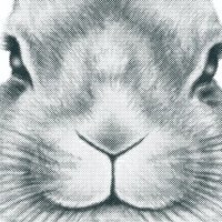 リアル絵tシャツ屋さんのイラストtシャツギャラリー リアル絵tシャツ屋さん Note