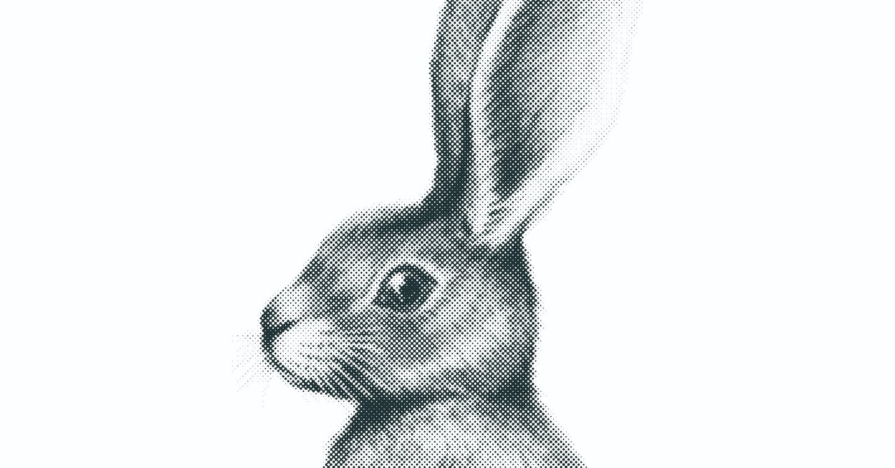 ウサギのリアルイラストtシャツを作りました リアル絵tシャツ屋さん Note ウサギのリアルイラストtシャツを作りました リアル絵tシャツ屋さん Note