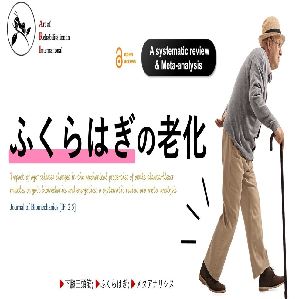 ふくらはぎの老化｜Super Human | 理学療法士／保健学博士 Ph.D.