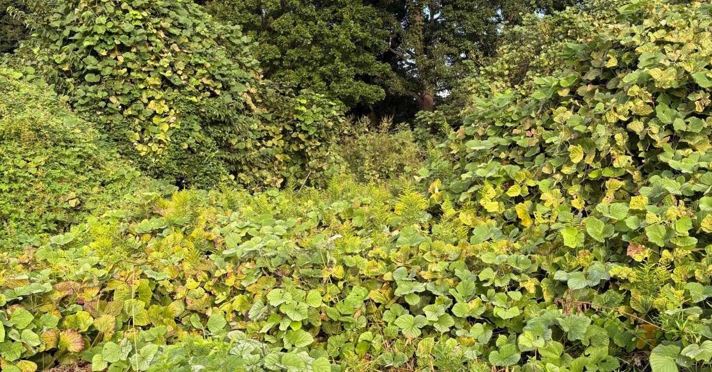 d00c02343493f00026c6ff788d0873