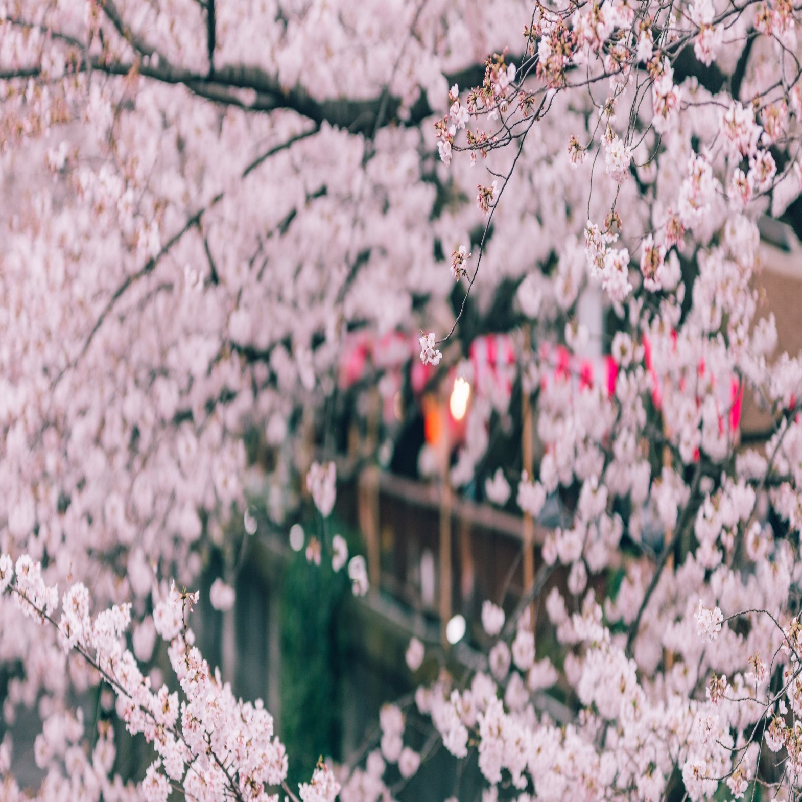 祖父の言葉、人生の教え。｜横田 裕市/写真家×編集者