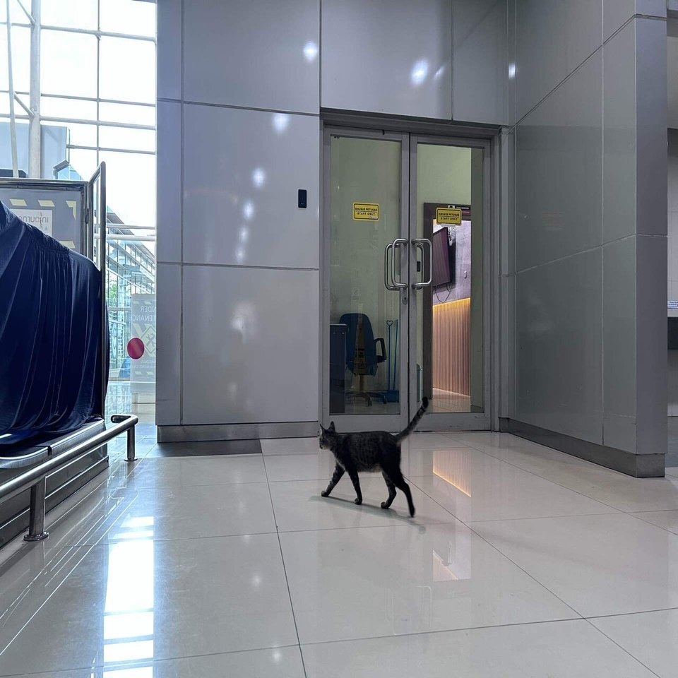 2025年9月インドネシア旅行記2 ジャカルタ市街地へ移動。ファイブさんと街歩きなど。｜YASUHIRO