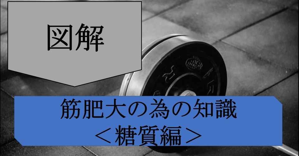 図解 筋トレ基礎知識 栄養学 筋肥大の為の糖質とインスリンの重要性 フリート Note