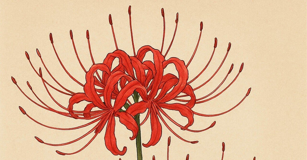 彼岸花｜黒ザクラ