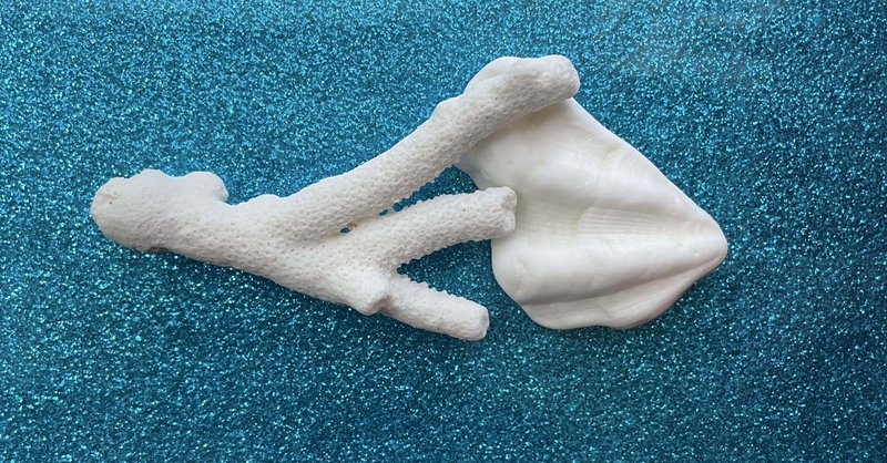 貝殻拾い 2025.10.1~10.31 - 隠す｜心野 ゆとり｜note