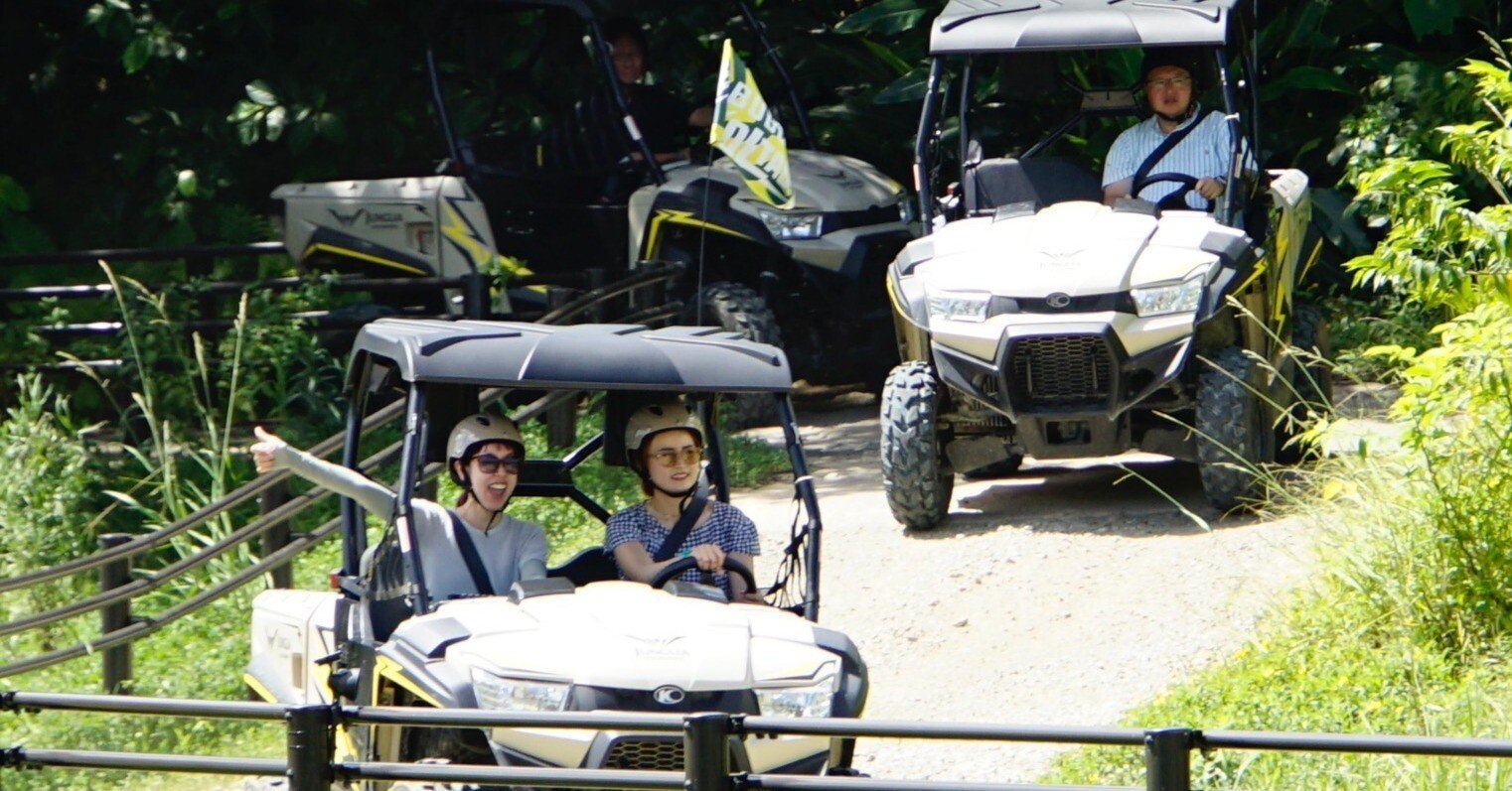 ジャングルを駆け抜ける爽快感！ジャングリア沖縄「BUGGY VOLTAGE」で