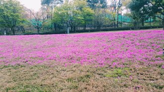 アニソン合唱団パンドラボックス 体験見学に行ってきました こにたん 日常をいかに楽しむか Note アニソン合唱団パンドラボックス 体験見学に行ってきました こにたん 日常をいかに楽しむか Note