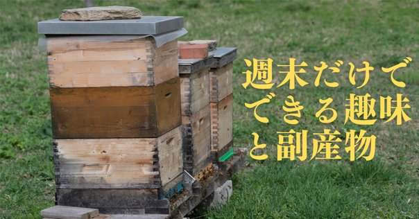 ニホンミツバチの採蜜に必要な道具｜みつばち先生🐝｜みつばち