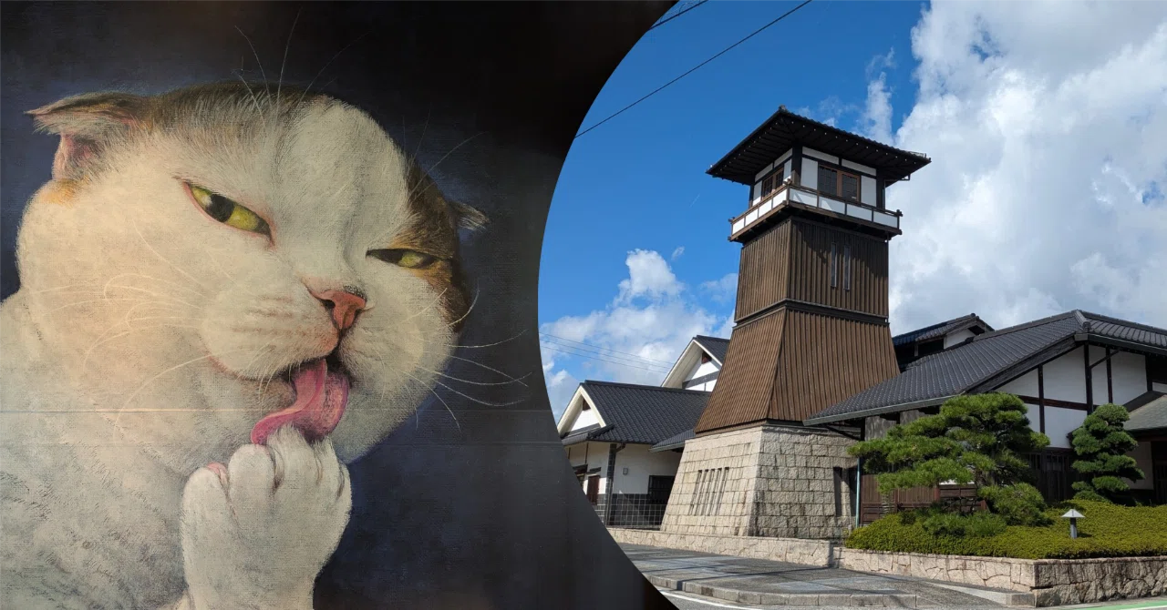 町田尚子原画展「隙あらば猫」に行きました🐱50代にエールを🚩学びと